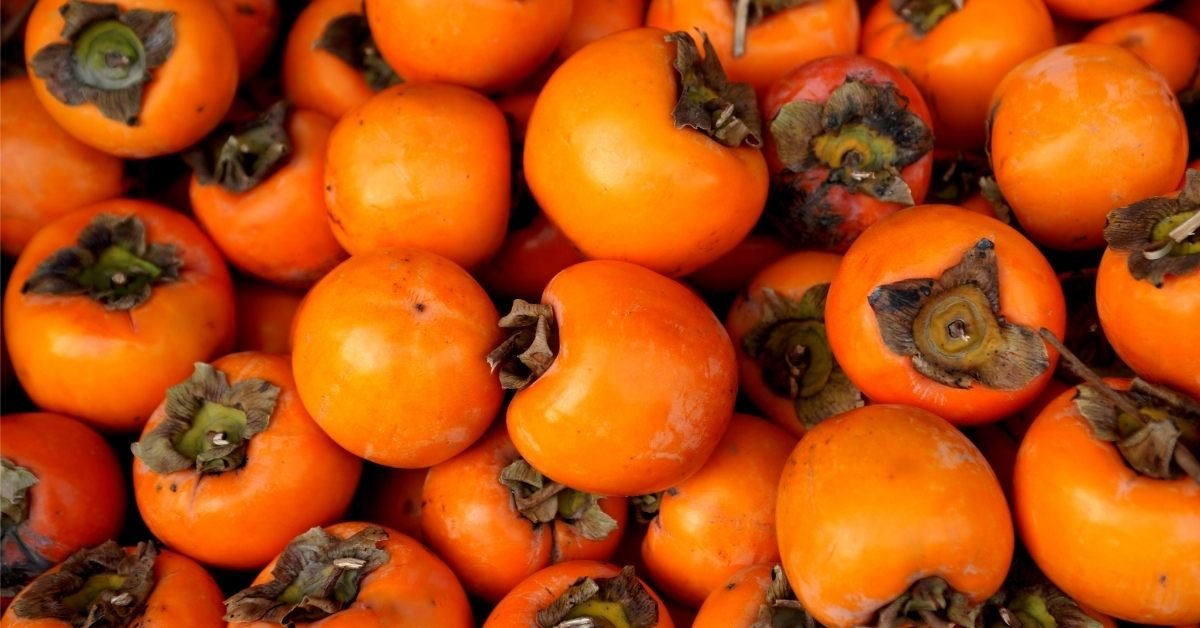 Persimmon, high fiber fruits, fruits high in fiber, fiber rich fruits, high fiber fruit, high fiber fruits and vegetables, what fruit has the most fiber, what fruits are high in fiber, fruits with fiber, highest fiber fruits, fiber fruits