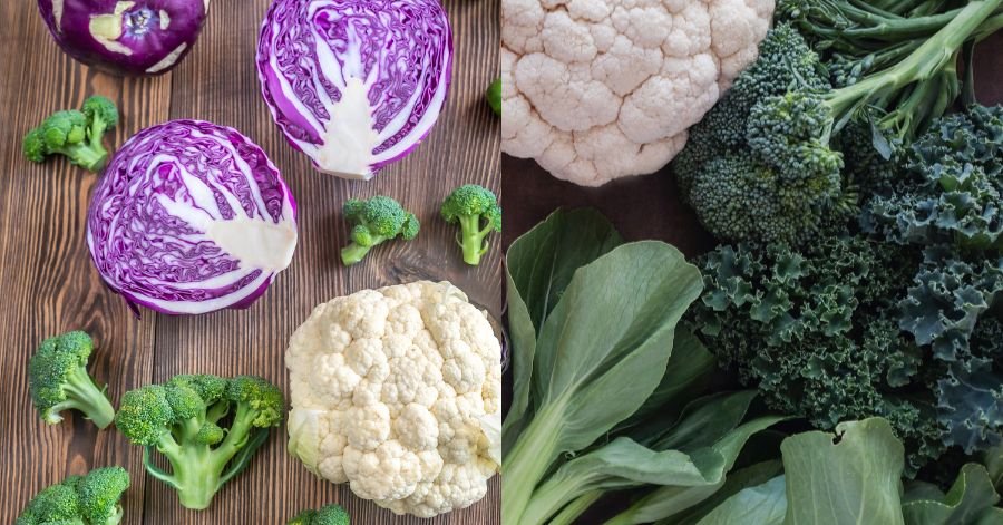 Cruciferous Vegetables