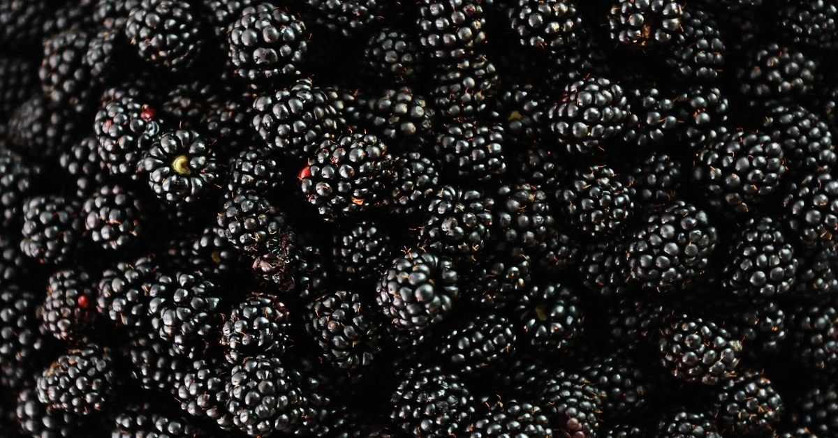 black berries, high fiber fruits, fruits high in fiber, fiber rich fruits, high fiber fruit, high fiber fruits and vegetables, what fruit has the most fiber, what fruits are high in fiber, fruits with fiber, highest fiber fruits, fiber fruits